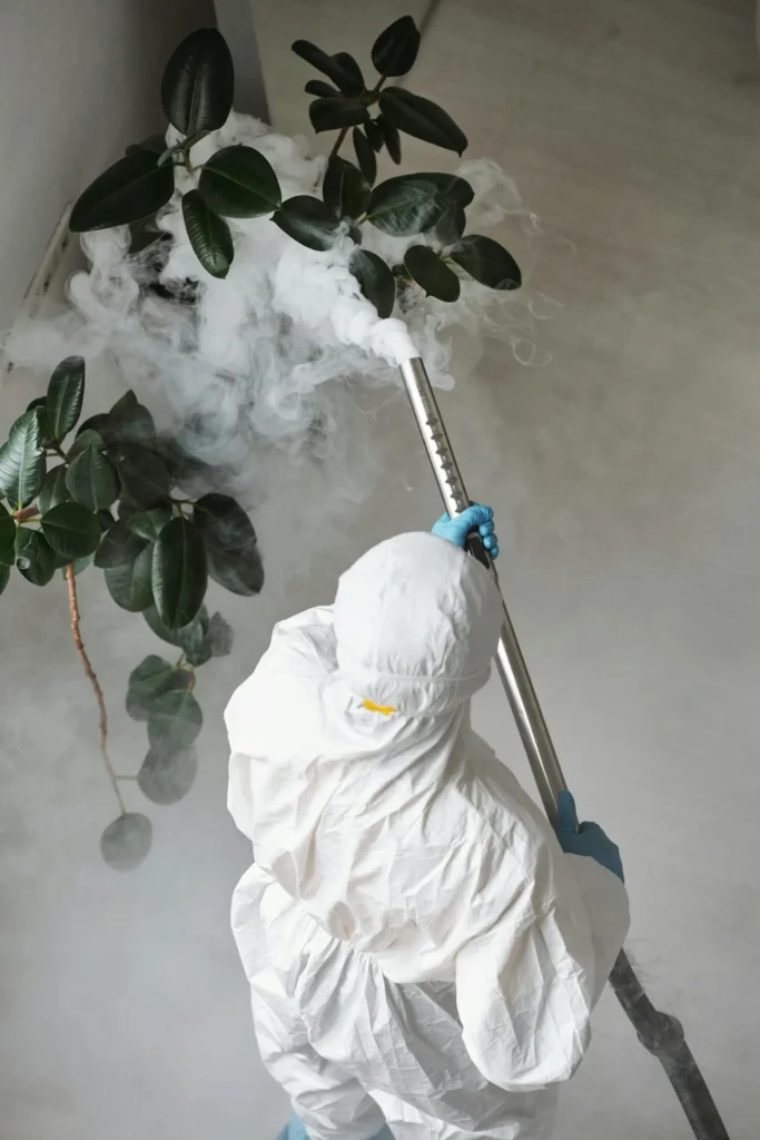 Trusted Pest Control - Forest Hills Pest Control Pros | Forest Hills, NY | 914-350-6727