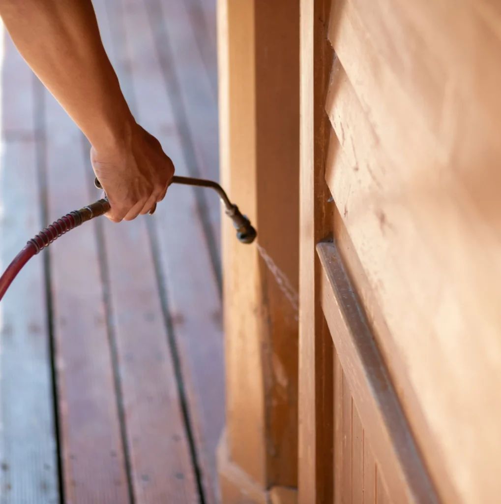 Trusted Pest Control - Forest Hills Pest Control Pros | Forest Hills, NY | 914-350-6727